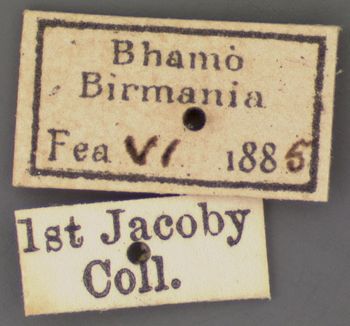 Media type: image;   Entomology 9292 Aspect: labels 2